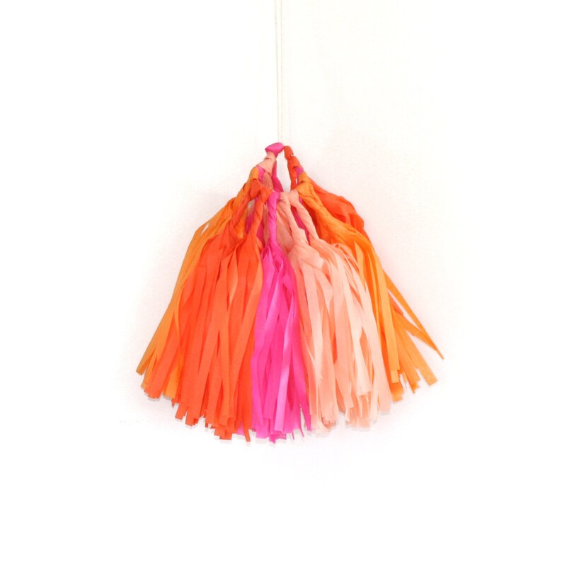 BRIGHT Tissue Tassel Garland Kit : Hot Pink, Tangerine, Orange, Peach, DIY Paper Tassels, Birthday Party Decor, Girl's Party, Bachelorette image 3