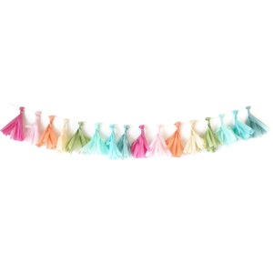 Mini Tissue Tassel DIY Garland Kit - Rainbow :  Mini Tassels in Raspberry, Blush, Peach, Vanilla, Sage, Mint, Aqua, Dusty Blue