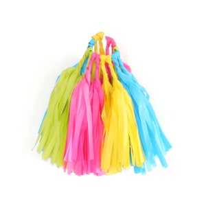 Tissue Tassel Garland Kit Neon : Hot Pink, Lime Green, Yellow, Turquoise, Party Decorations, Girls Party, Neon Tassels, DIY Paper Tassels image 2