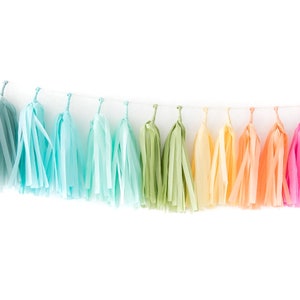 GENDER REVEAL - Rainbow Tissue Tassel Garland Kit : Pastel Rainbow, Baby Shower, Gender Reveal Party, Rainbow Shower, Rainbow Party, Unicorn