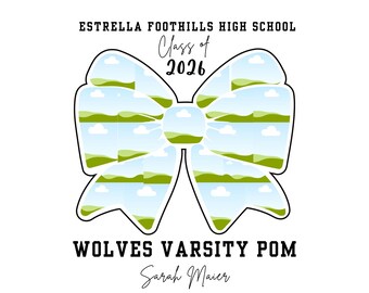 Editable photo for seniors of cheer or pom