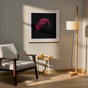 Fleurs de velours, art mural rose foncé, impression de photographie florale de mauvaise humeur, fleur gothique, art rose, impression de roses, photographie de nature, botanique