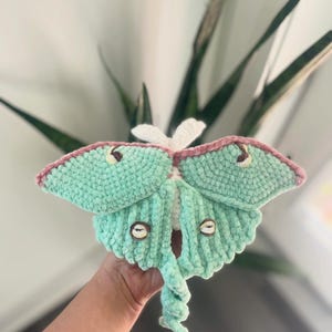 May include: A handmade crochet moth in shades of mint green, pink, and white. The moth has detailed wings, brown eye-like markings, and a curled tail. The plush toy is soft and textured, perfect for home decor or as a unique gift.