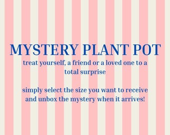 MYSTERY Hand-Painted Plant Pot | Botanical Bauhaus Design | Eco Home Decor | Modern Terracotta Planter | Sustainable Gift Idea