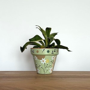 Può includere: Una piccola pianta in vaso con foglie verdi e gialle in un vaso di ceramica dipinto a mano. Il vaso è verde chiaro con fiori bianchi a forma di margherita, forme marroni e punti colorati. Il vaso è su una superficie di legno.