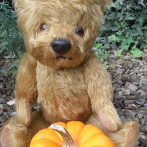 May include: A vintage teddy bear with brown fur sits next to a bright orange pumpkin. The bear has black button eyes and a black nose.