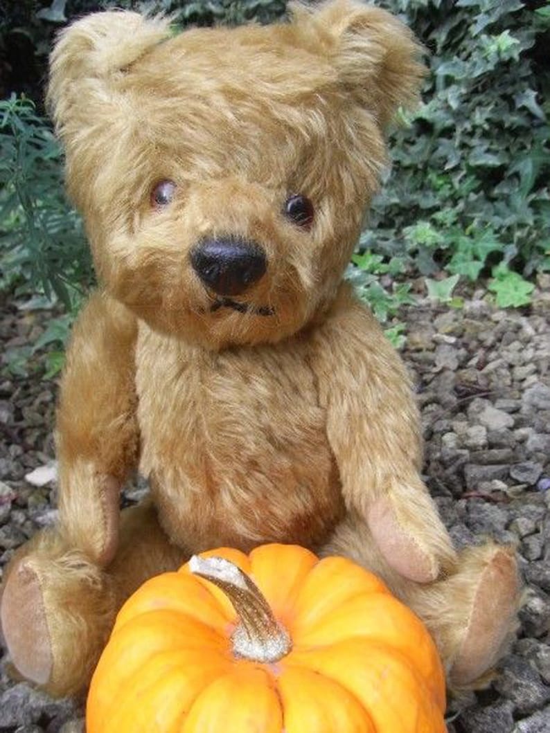 May include: A vintage teddy bear with brown fur sits next to a bright orange pumpkin. The bear has black button eyes and a black nose.