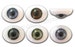 Glass Oval Paperweight Doll Eyes with a Human Iris- One Pair 