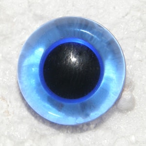 May include: A blue plastic googly eye with a black pupil. The eye is round and has a shiny finish.