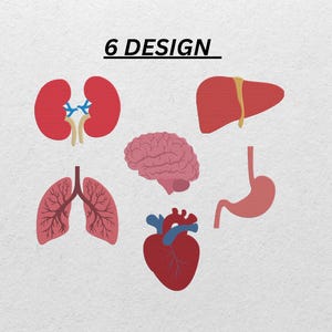 Human Organs Embroidery Designs – 6 Anatomical Machine Files | Heart, Brain, Lungs, Stomach & More