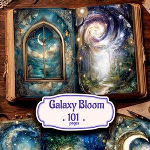 May include: An open book with detailed illustrations of a celestial scene. One page depicts a window with a crescent moon, the other a swirling galaxy. The book's title, "Galaxy Bloom," is displayed on a label with "101 pages."