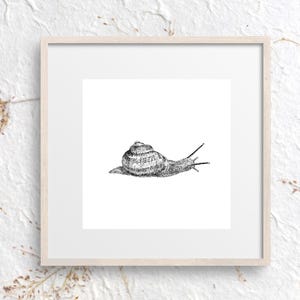 Vintage Snail Illustration | Black and White Digital Download | Antique Nature Print | Gallery Wall Art | Snail Print