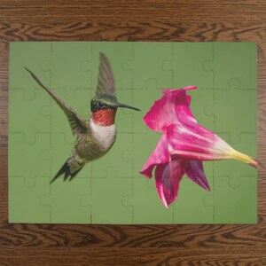 Puzzle, Hummingbird and Flower, 500 or 1000-Piece Jigsaw Puzzle - Relaxing, Mindful Activity, Gift Idea, Home Decor, Entertainment, Stress