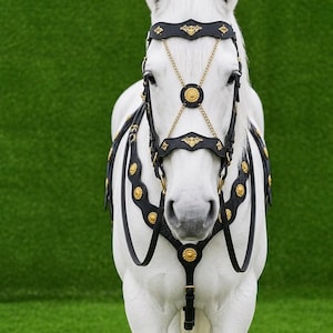 Op de afbeelding: Een wit paard draagt een zwart lederen hoofdstel en tuigset. De uitrusting is voorzien van goudkleurige metalen accenten, waaronder ronde medaillons en dunne decoratieve kettinkjes die over de neusbrug en het voorhoofd kruisen.