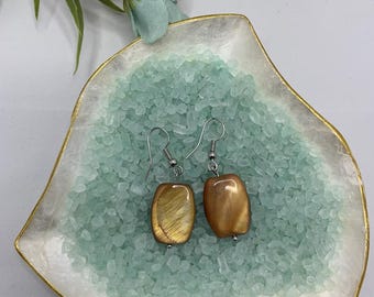 Brown rectangular drop and dangle earrings