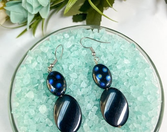 Black Shiny Oval Contemporary Dangle Earrings