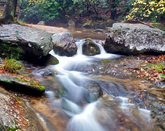 A Roaring River photo at Stone Mountain State Park North Carolina
