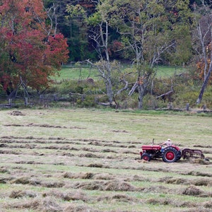 Raking Hay on the Blue Ridge Parkway US Highway 21 North Carolina Wall Decor