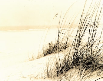 Sea Oats in an Ocean Breeze Done in an Alternate Process Fine Art Beach Photo