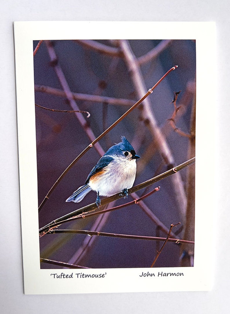 May include: A small, blue and white bird with a black eye perched on a branch. The bird has a crest of feathers on its head. The background is a blurry purple color. The text 'Tufted Titmouse' and 'John Harmon' are printed below the image.