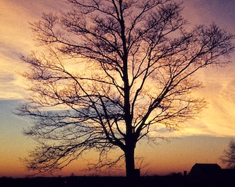 Ohio Countryside Sunrise Photo: Farmhouse Art - Barn and Tree Silhouette