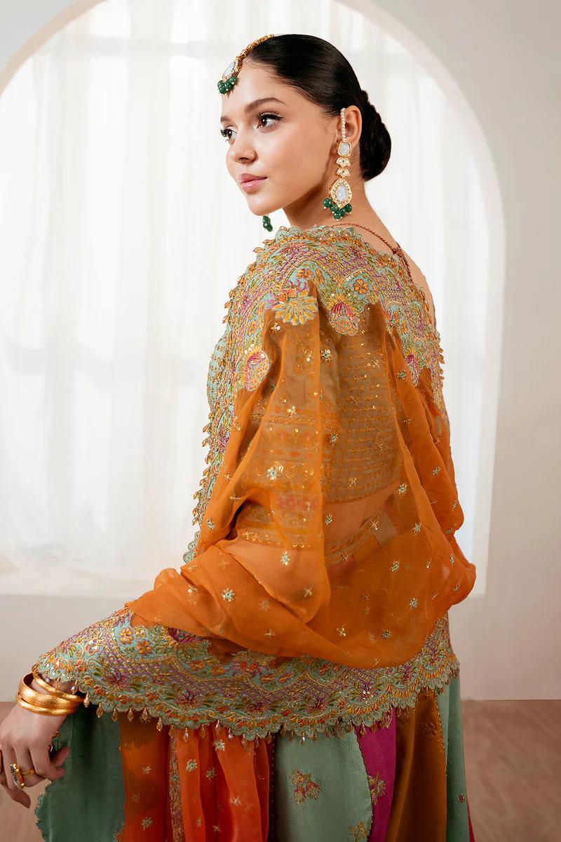 Embroidered Net Maxi Dress: Pakistani Indian Wedding Design Mehndi dress