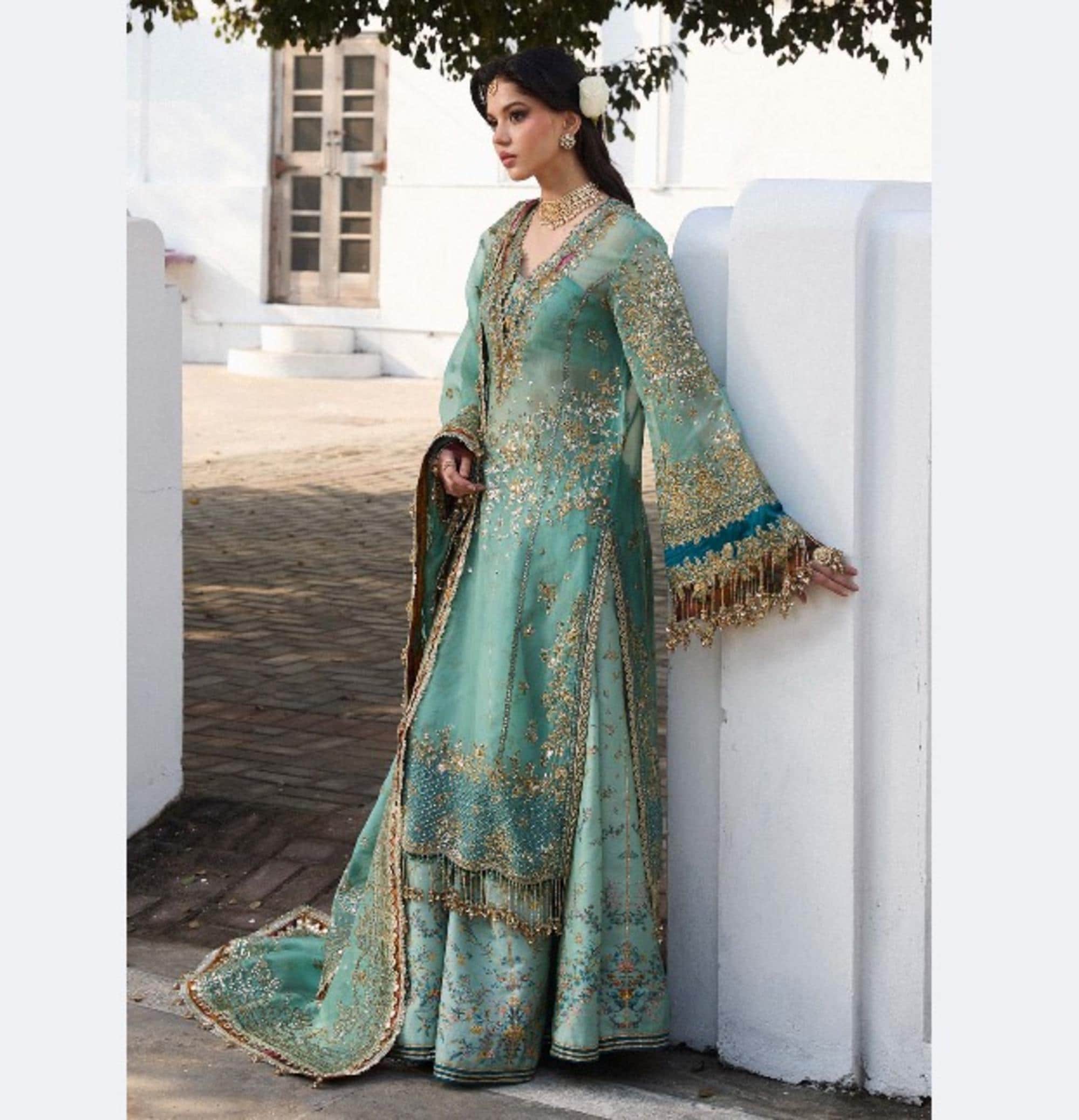 embroidered organza dress pakistani Embroidered Organza Pakistani Dress: Mint Green Maxi Suit