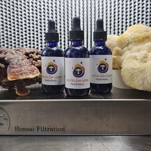Reishi Mane Extract | Dual Mushroom Tincture | Lion’s Mane + Reishi | natural focus supplement, Immune Support | Alcohol-Based
