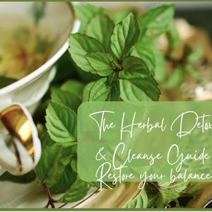 Liver, Kidneys, and Lymphatic System - 7-Day Plan, Herbal Detox & Cleanse Guide – DIY Teas, Baths, Holistic Wellness Reset, 13-Page Ebook.