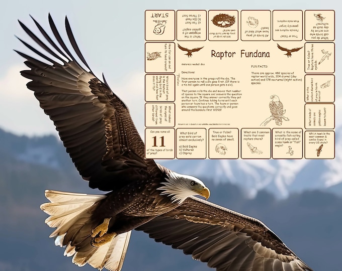 Raptor Game. Play indoors or out. Have fun learning about birds of prey with our Raptor Fundana. Learn about Eagles, Hawks, Vultures!!