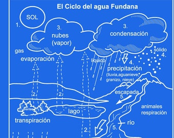 Spanish Water cycle Fundanas! Great for Bilingual students, schools! Large graphic. Easy way to teach kids about the water cycle in spanish.