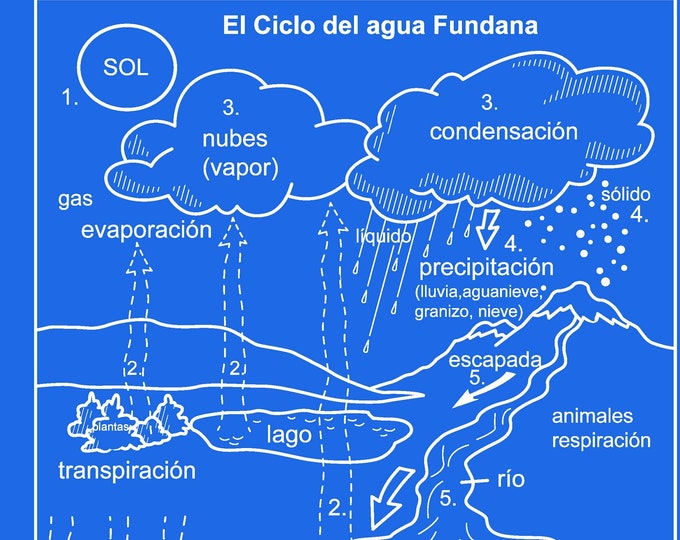 Spanish Water cycle Fundanas! Great for Bilingual students, schools! Large graphic. Easy way to teach kids about the water cycle in spanish.