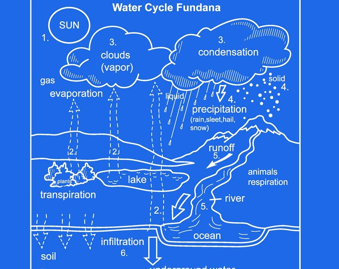 Water cycle Enrichment Activity. Great for kids at home or school to learn about the water cycle. Large graphic. Simple way to teach kids.