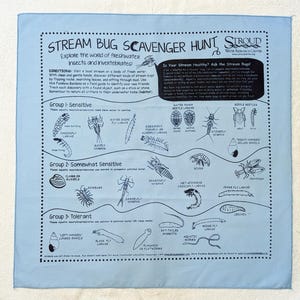 Stream Bug Scavenger Hunt Bandana: Freshwater Invertebrates (English & Spanish)