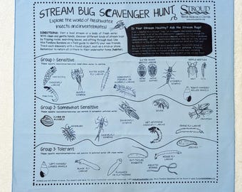 Stream Bug Fundana – Freshwater Insect Scavenger Hunt for Kids | Bilingual English and Spanish | Great for Camps and Nature Study