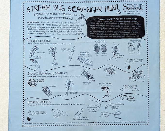 Stream Bug Fundana – Freshwater Insect Scavenger Hunt for Kids | Bilingual English and Spanish | Great for Camps and Nature Study