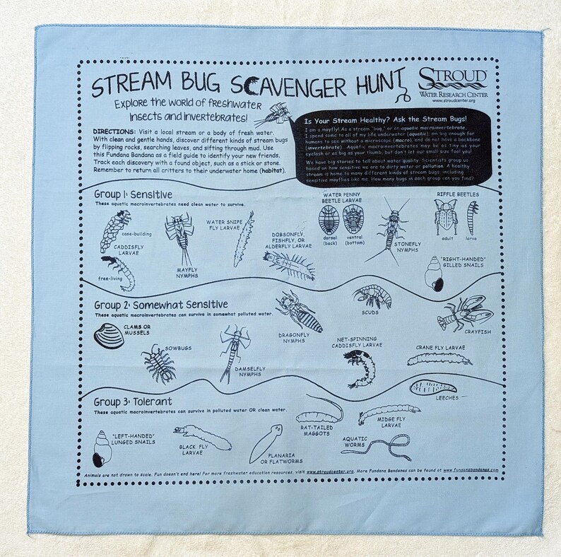 May include: A blue bandana with a guide to identifying freshwater insects and invertebrates. The bandana is divided into three groups: Sensitive, Somewhat Sensitive, and Tolerant. Each group has a list of insects and invertebrates with illustrations and descriptions. The bandana also includes a section on how to determine if a stream is healthy.