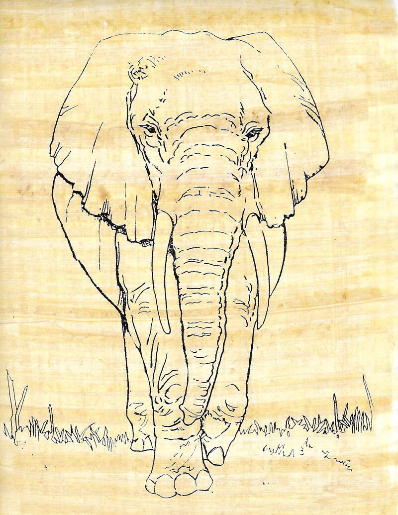 New Color On Egyptian Papyrus Elephant Design Use Markers
