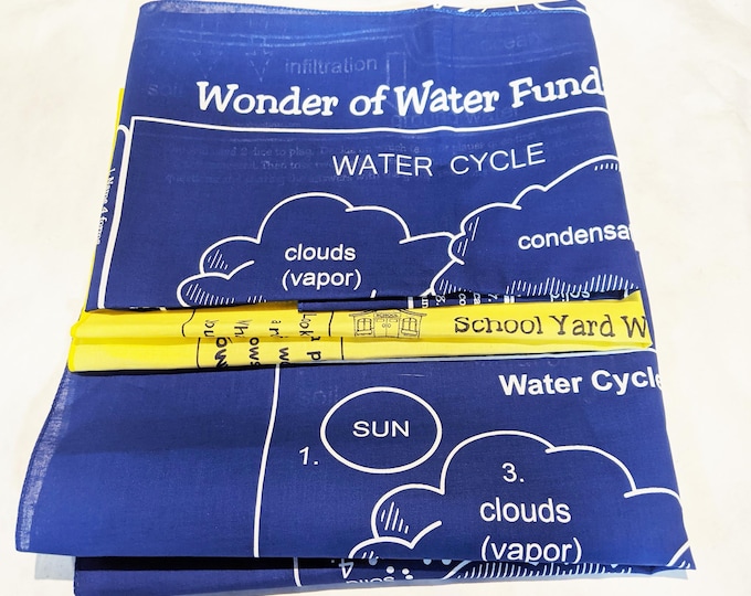 Water Fun Variety Pack. Teach Water 3 different ways Wonder of Water Cycle Game, Schoolyard Watershed Scavenger hunt, Water Cycle Chart