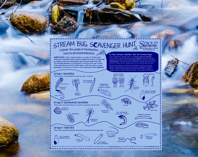 New! Stream Bug Scavenger Hunt! Explore the world of Freshwater insects and invertebrates! Great for camps, schools, home schoolers!