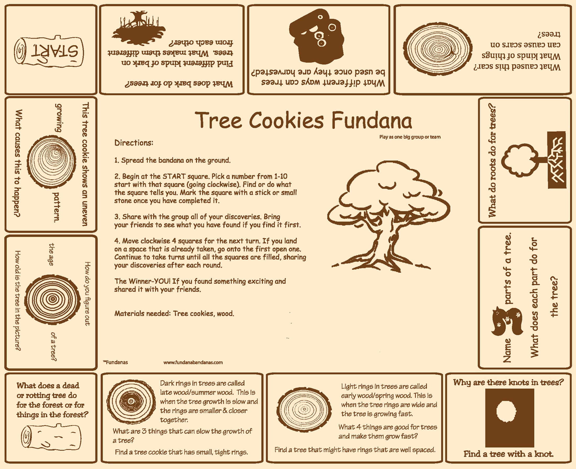 Tree Cookie Game! Fun at home enrichment activity for kids! Discover