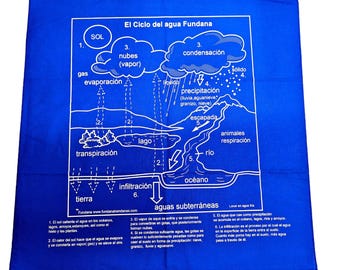 Spanish Water cycle Fundanas! Great for Bilingual students, schools! Large graphic. Easy way to teach kids about the water cycle in spanish.