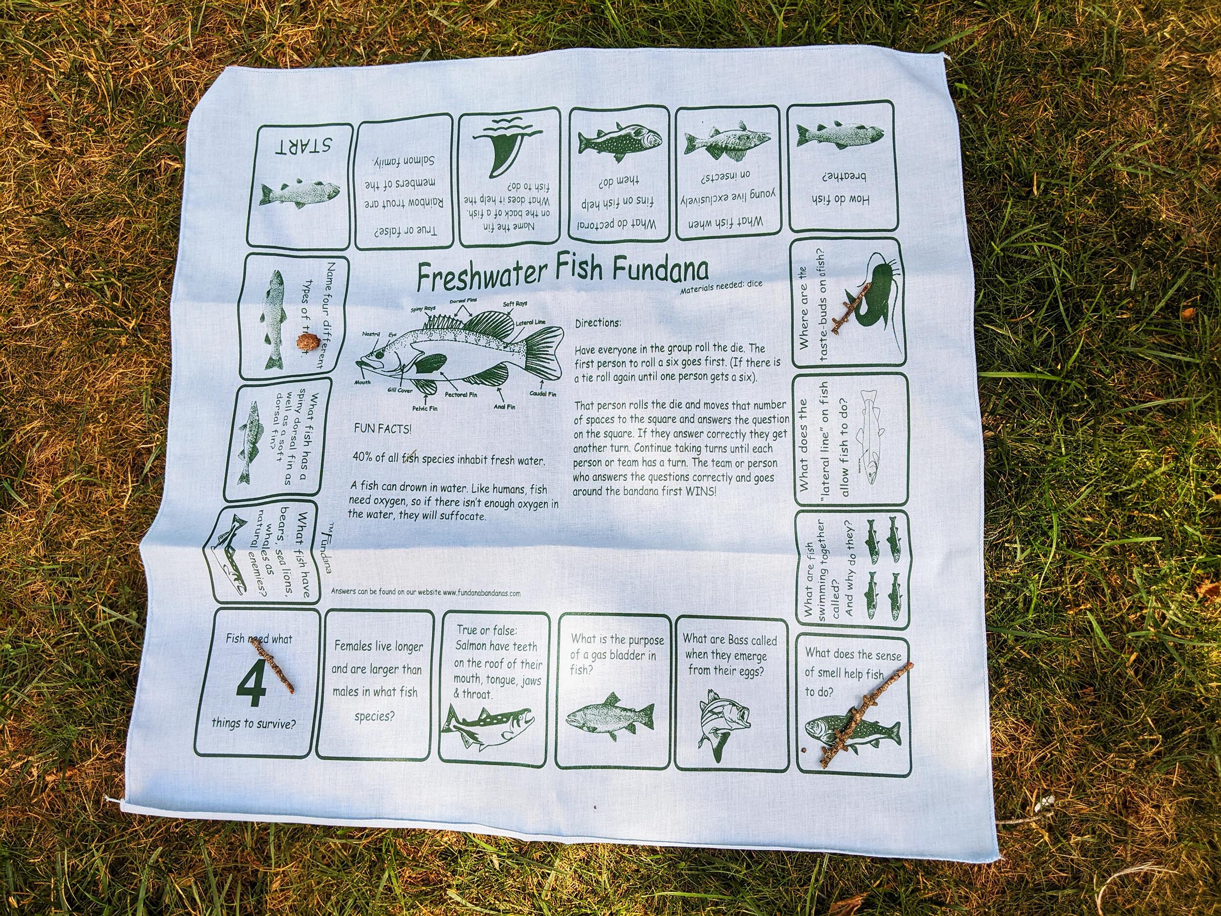 Like to Fish? Play our Freshwater Fish game! Learn all sorts of FUN things about fish Great