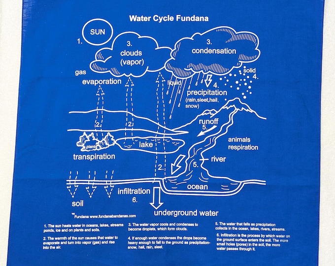 Water Cycle Fundana – Educational Activity Chart for Kids | Learn Evaporation, Condensation, Precipitation at Home or in School