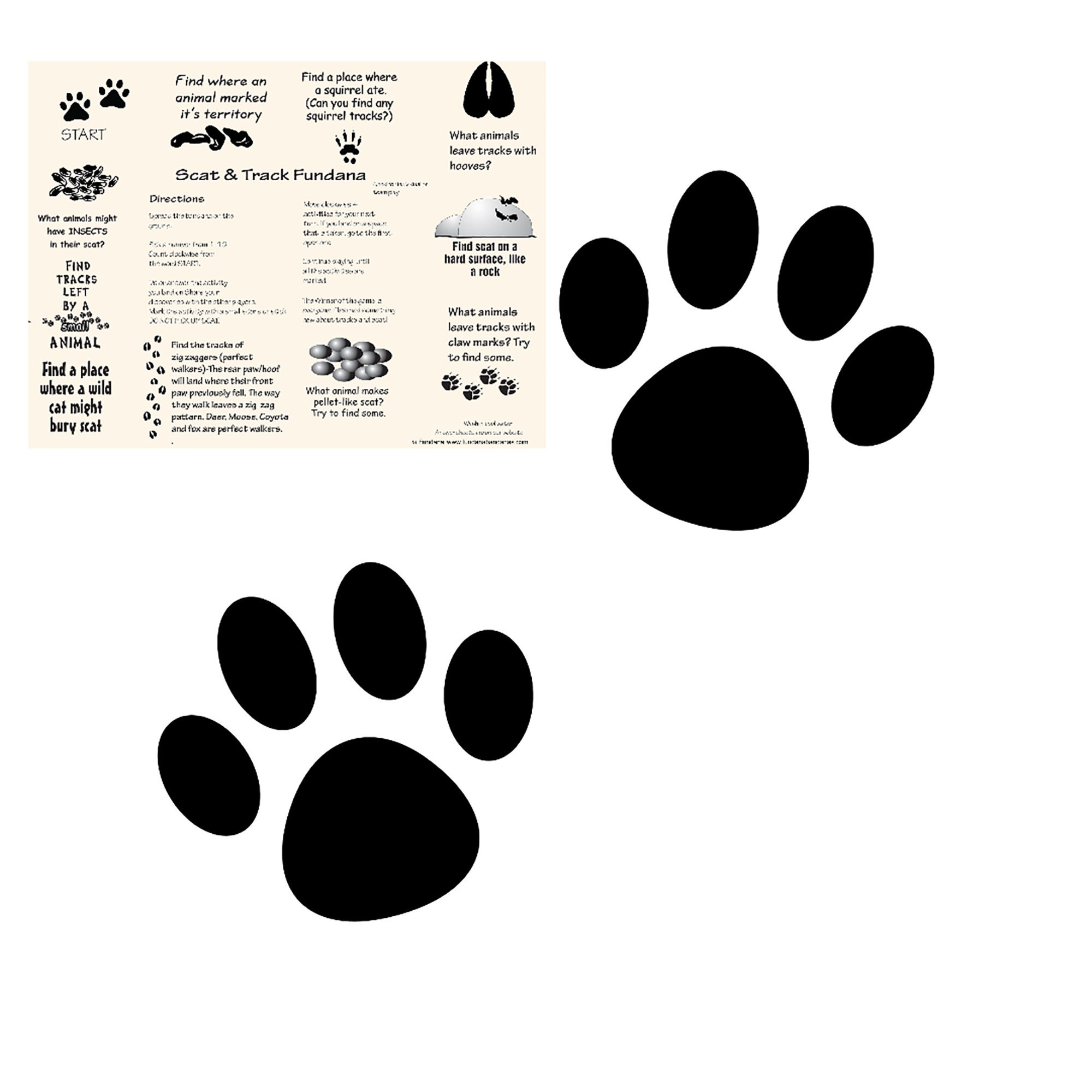 New! Scat & Track 4 color choices! Easy, fun way to teach kids about