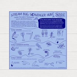 Stream Bug Scavenger Hunt Bandana – STEM Nature Activity, Bilingual