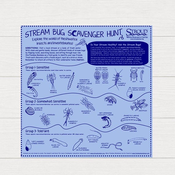 Stream Bug Scavenger Hunt Bandana – STEM Nature Activity, Bilingual