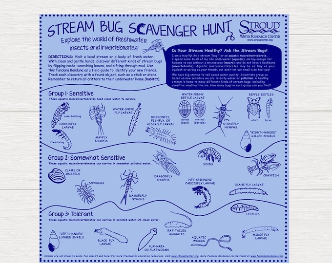 Stream Bug Scavenger Hunt Bandana – Outdoor Nature Activity for Kids – Educational STEM Game – Made in USA by Fundana Bandanas