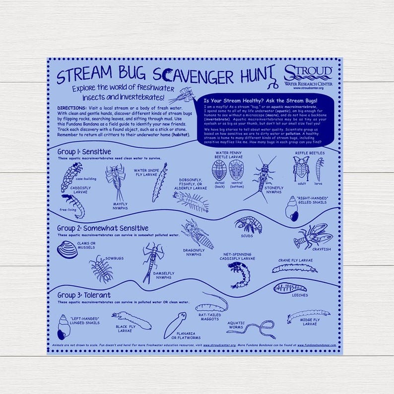 Stream Bug Scavenger Hunt Bandana – STEM Nature Activity, Bilingual image 1