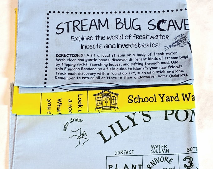 FUN Water GAMES!  Teach kids about Water, water quality, watersheds! Stream Bug Scavenger Hunt, Schoolyard Watershed, Lily's Pond Bingo!